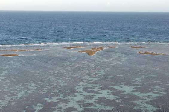 100 milliards pour sauver le lagon