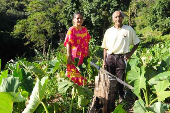 Anne-Marie et Samuel Païta, la mémoire des tarodières