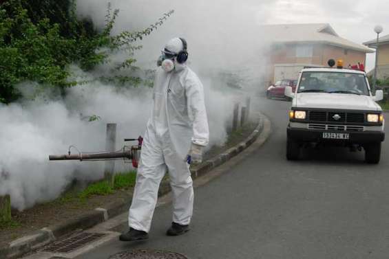 La dengue s'installe à l'année