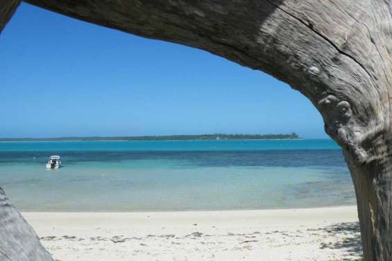 Patrimoine mondial de l'humanité : les Kunié pas encore prêts