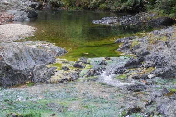 La guerre de l'eau potable a commencé