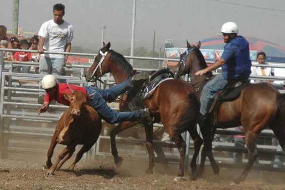 La 19e Foire est fin prête