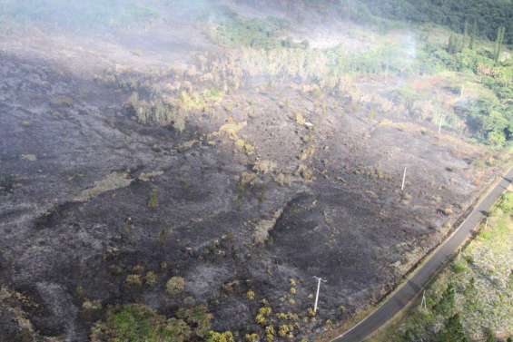 Comment mieux lutter contre les feux ?