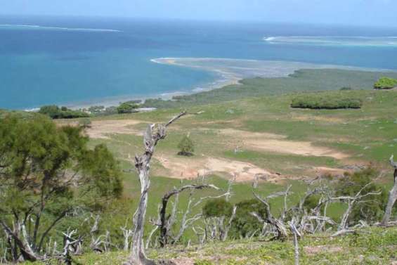 Les lapins de Leprédour peuvent dormir sur leurs deux oreilles