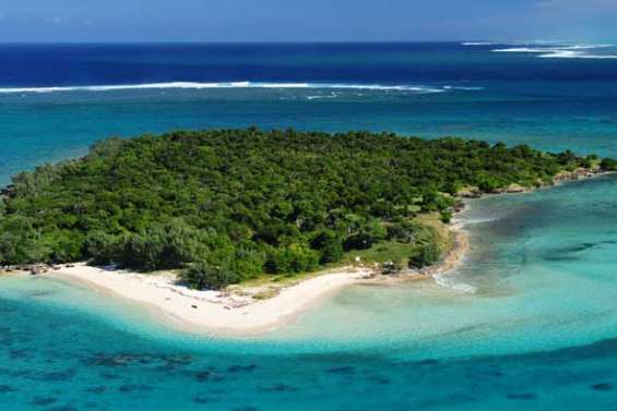 Les écosystèmes en un clic