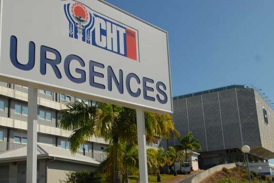 Les greffes bientôt autorisées sur le Caillou