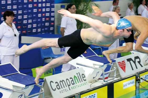 Dahlia avec les gros bras