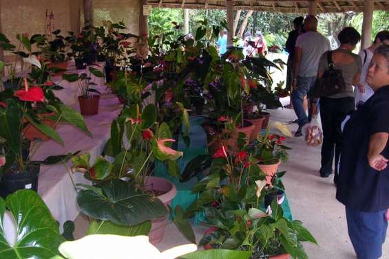 Une reine dans sa capitale