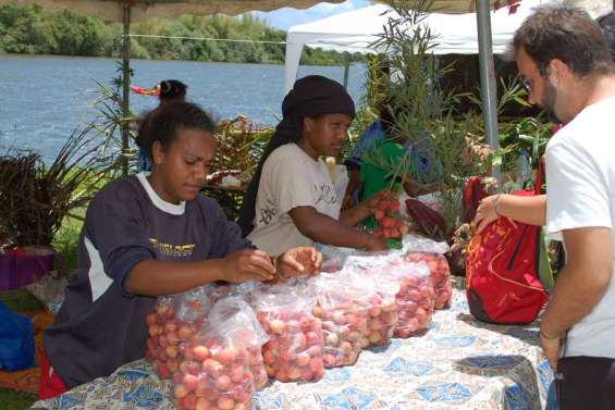 La fête du letchi annulée faute de fruits
