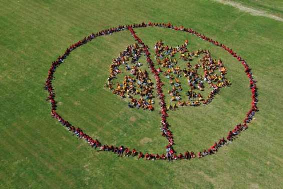 Une idée pour lutter contre les feux