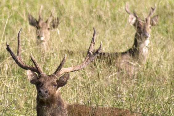 Une aide aux producteurs