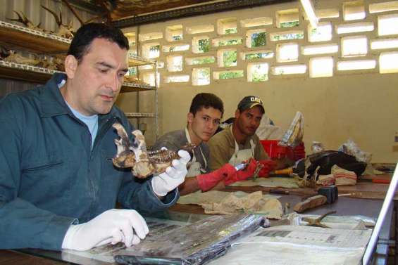 La prime aux mâchoires de cerfs augmente