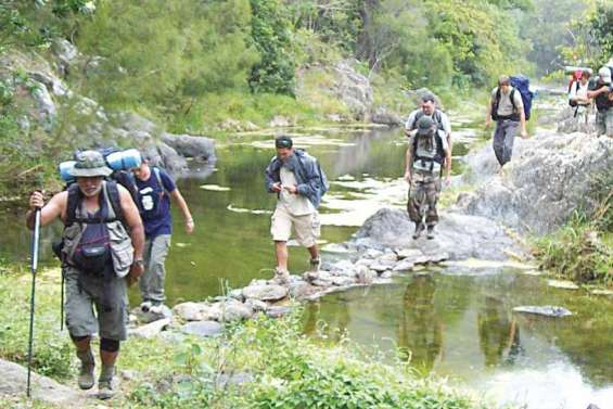 Préserver la forêt des Vieux