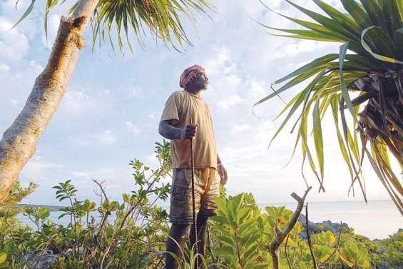 La doyenne des plantes vit ici