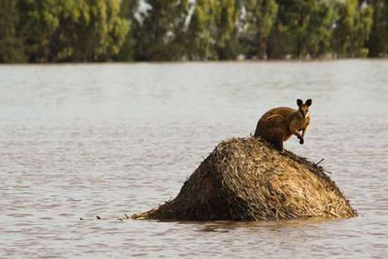 L'eau menace l'économie