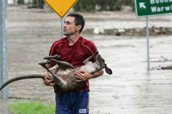 Brisbane en plein chaos