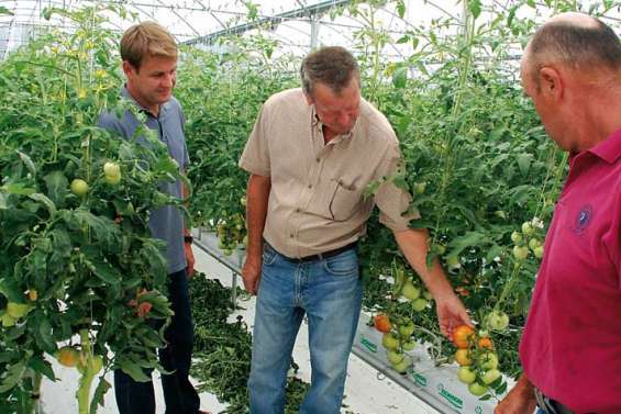 Les agriculteurs contre le flou juridique