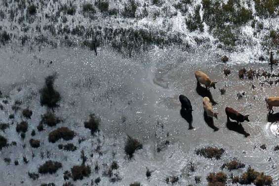 Le Victoria se barricade