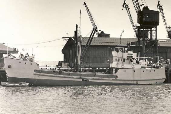 Thalassa et France Ô plongent sur les traces de La Monique