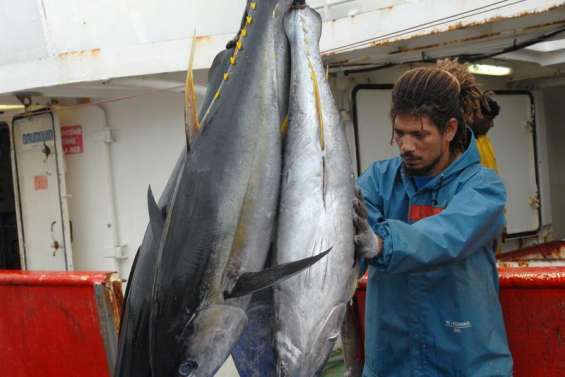 Le thon blanc casse la baraque