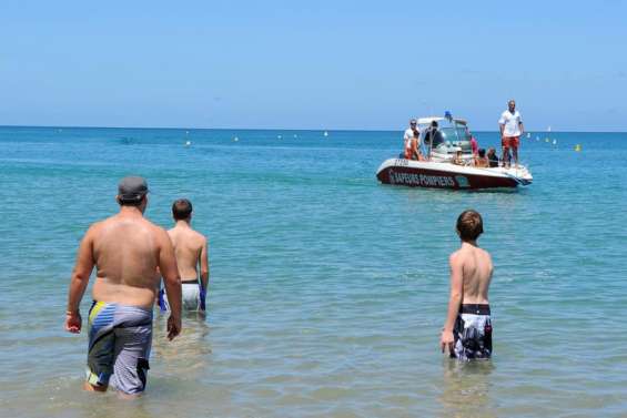 Les requins vont à la plage
