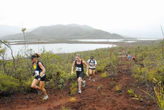 Nouveau mais costaud