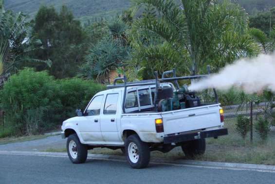 Le malathion contre le chikungunya