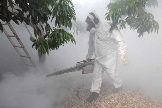 Un troisième cas de chikungunya autochtone diagnostiqué