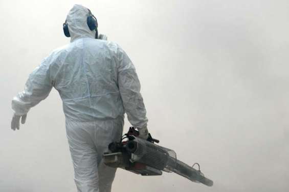 Le chikungunya fait son nid à Nouméa