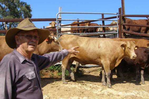 Le braconnage, sport national