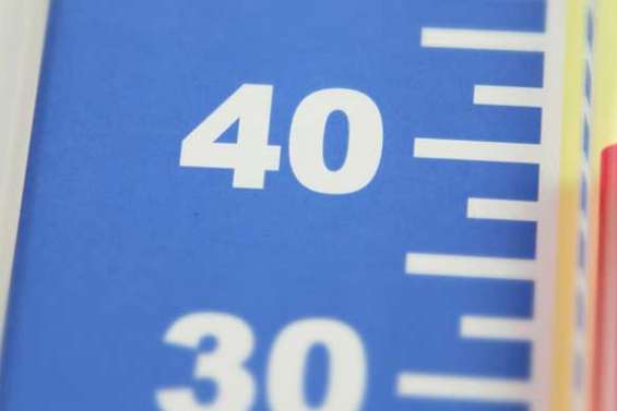 Les moustiques piquent un coup de chaud