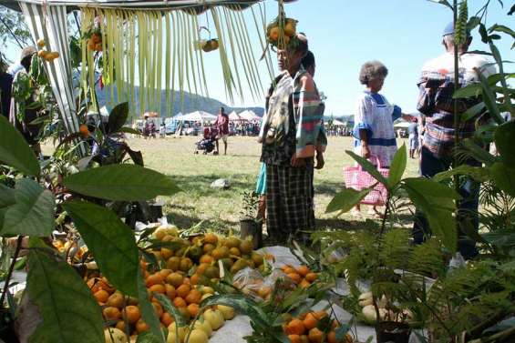 1,9 milliard à l'unanimité