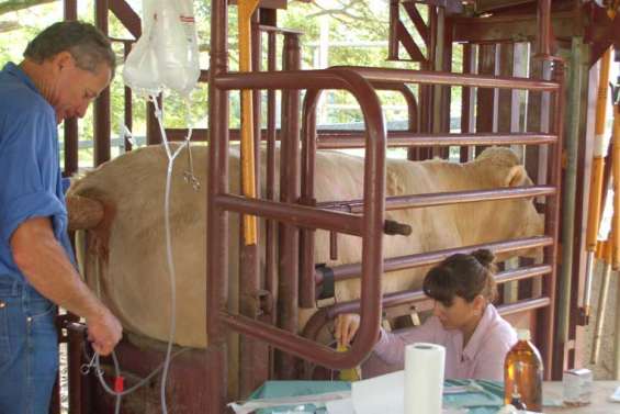 Une première mondiale à Port-Laguerre
