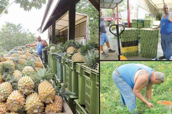 Un métier qui roule