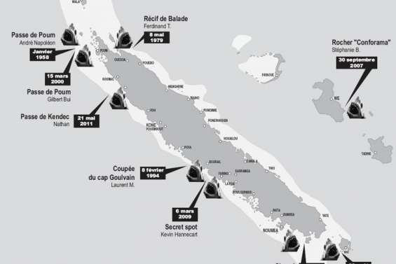 Encore un grand blanc ?