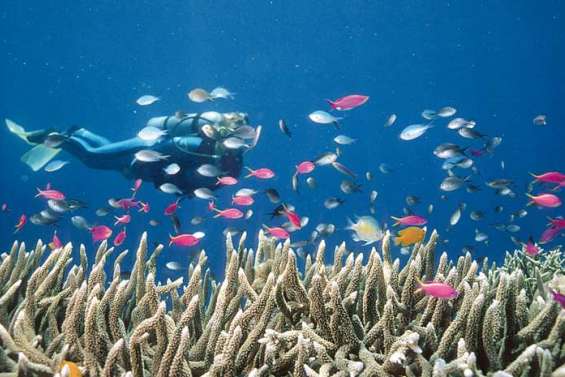 Gare à la montée des eaux