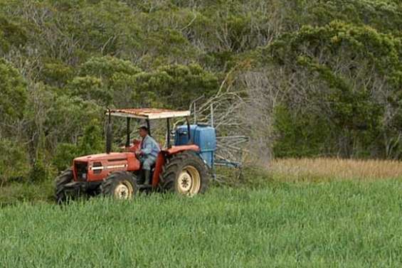 Une victoire des pesticides