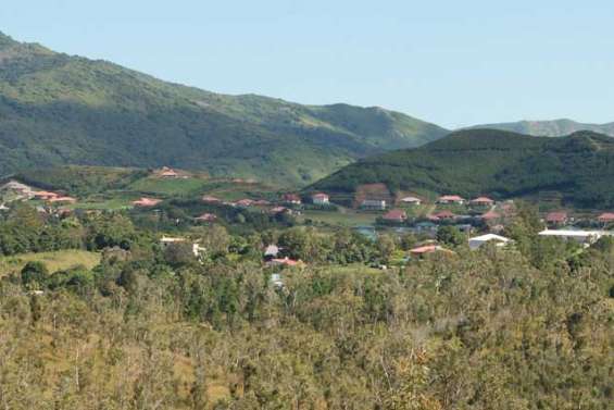 Le projet Grand Parc est lancé