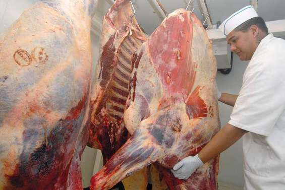 Les éleveurs veulent sauver l'Ocef