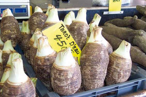 Le taro d'eau en fête à Mia