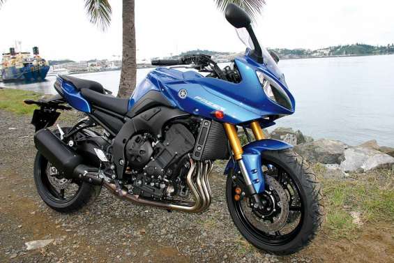 Docile et sportive à la fois