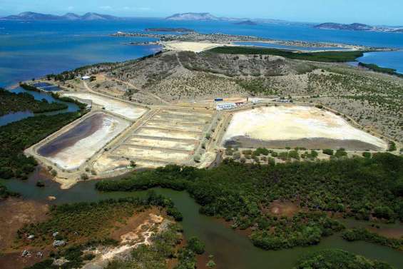 Huîtres, crabes, poissons… diversifier l'aquaculture