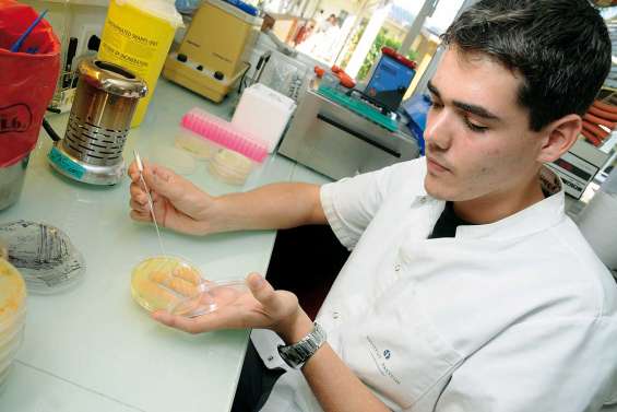 Les bactéries, créatrices d'une chimie verte