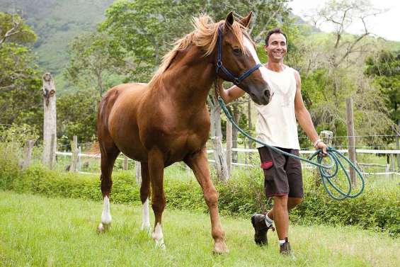 Eleveur de chevaux, une chère passion