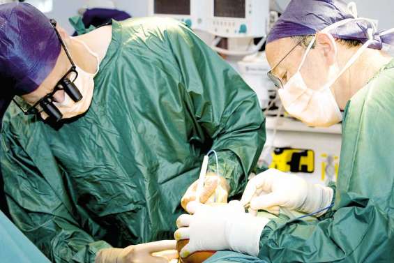 Les greffes prennent