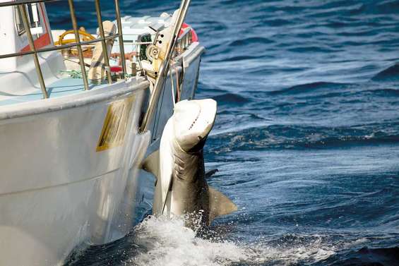 250 scientifiques se mobilisent