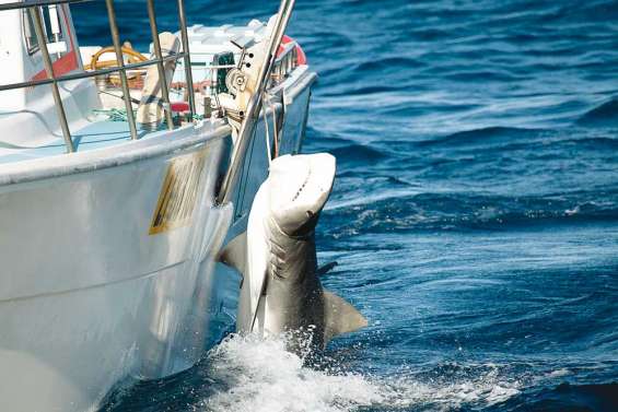 Le plan n'est pas reconduit