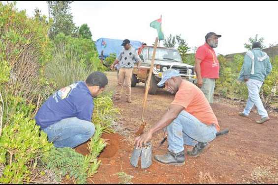 Rhéébù Nùù alerte le président de Vale