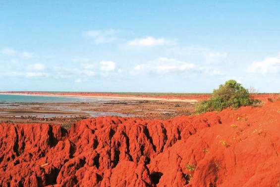 Des Aborigènes protègent leur terre