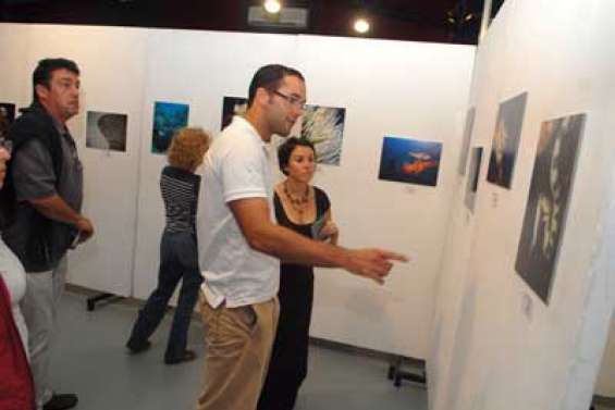 Le grand blanc sur grand écran